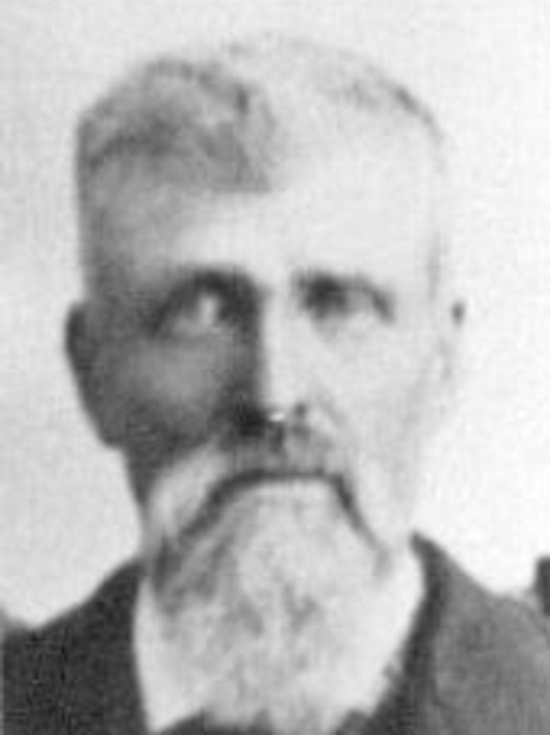 Preston King Lewis (1838 - 1913) Profile